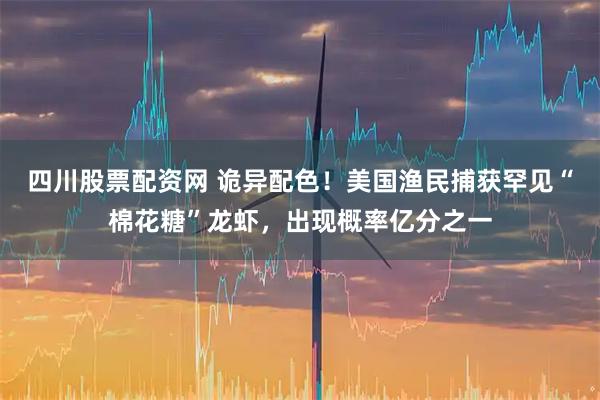 四川股票配资网 诡异配色！美国渔民捕获罕见“棉花糖”龙虾，出现概率亿分之一