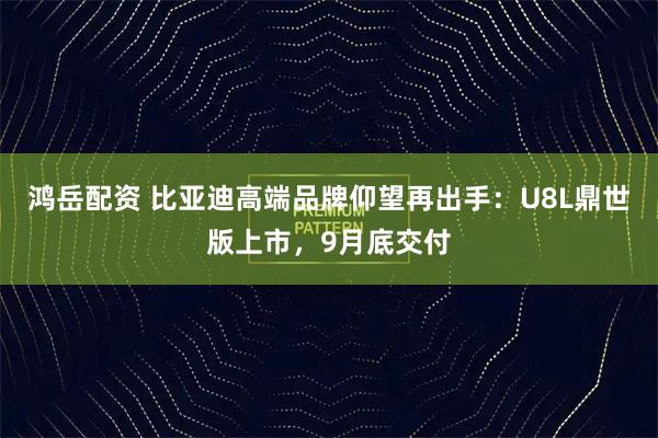 鸿岳配资 比亚迪高端品牌仰望再出手：U8L鼎世版上市，9月底交付
