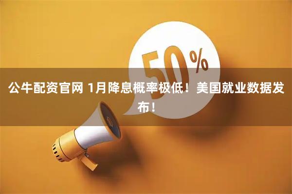 公牛配资官网 1月降息概率极低！美国就业数据发布！
